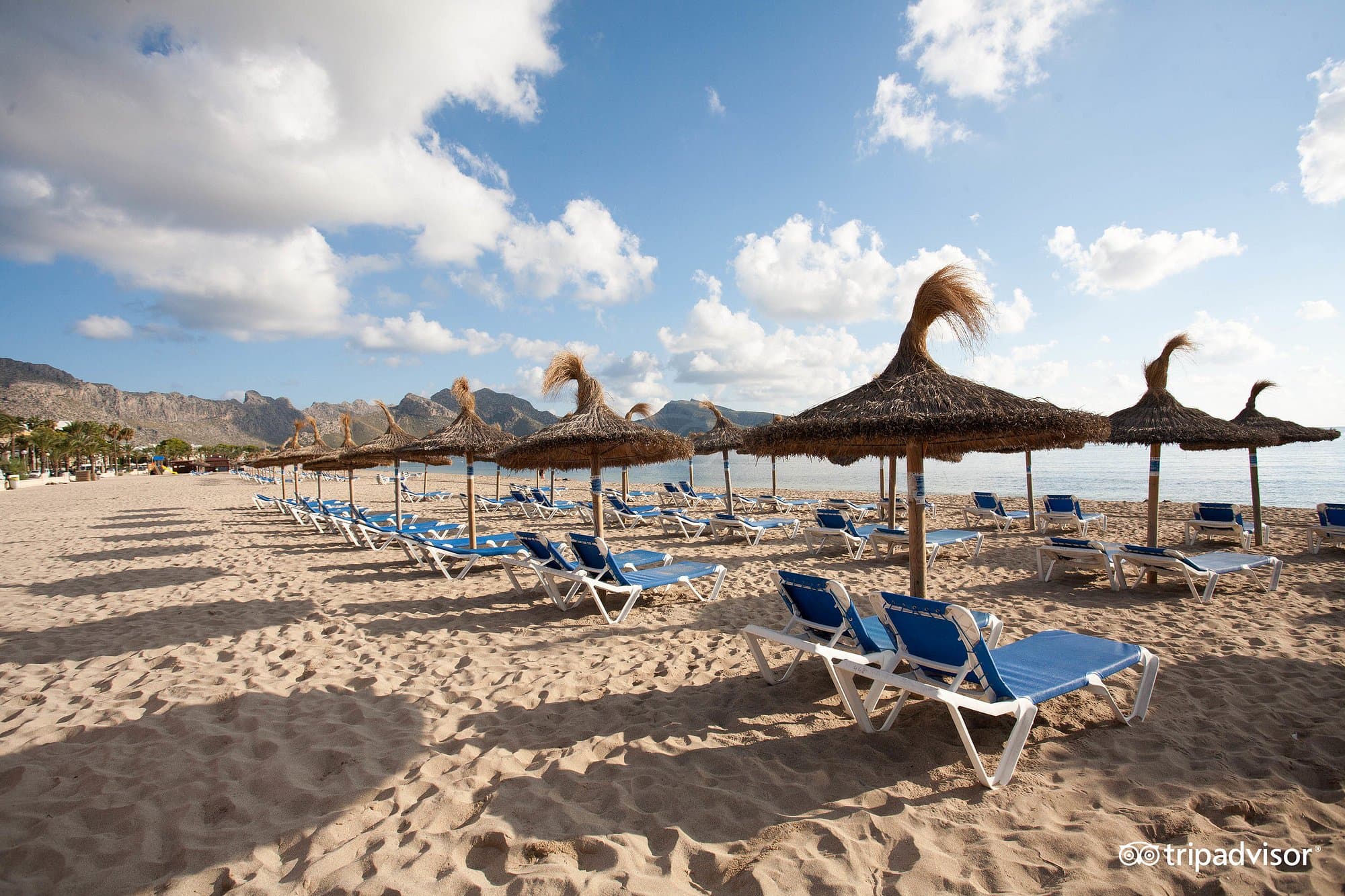 Holiday to Puerto Pollensa - photo 3