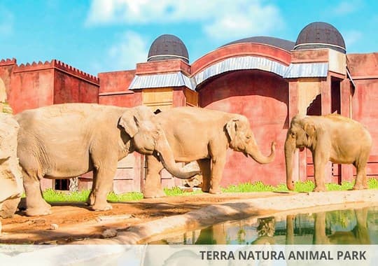 Magic Natura Family Holiday - photo 2