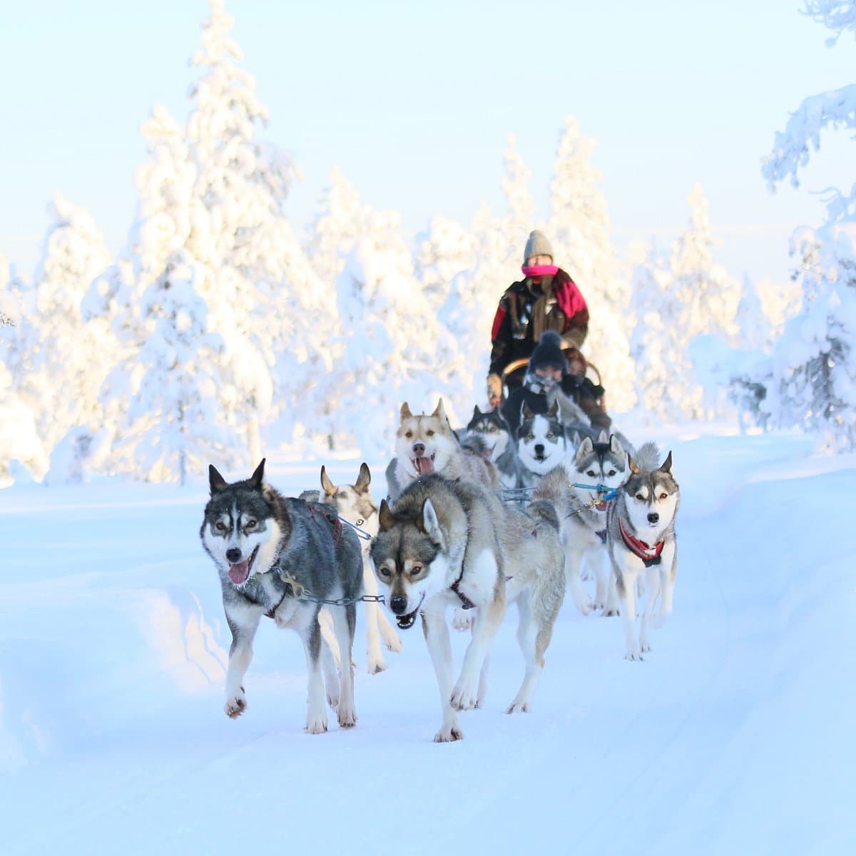 Lapland Hotel Hetta - main photo