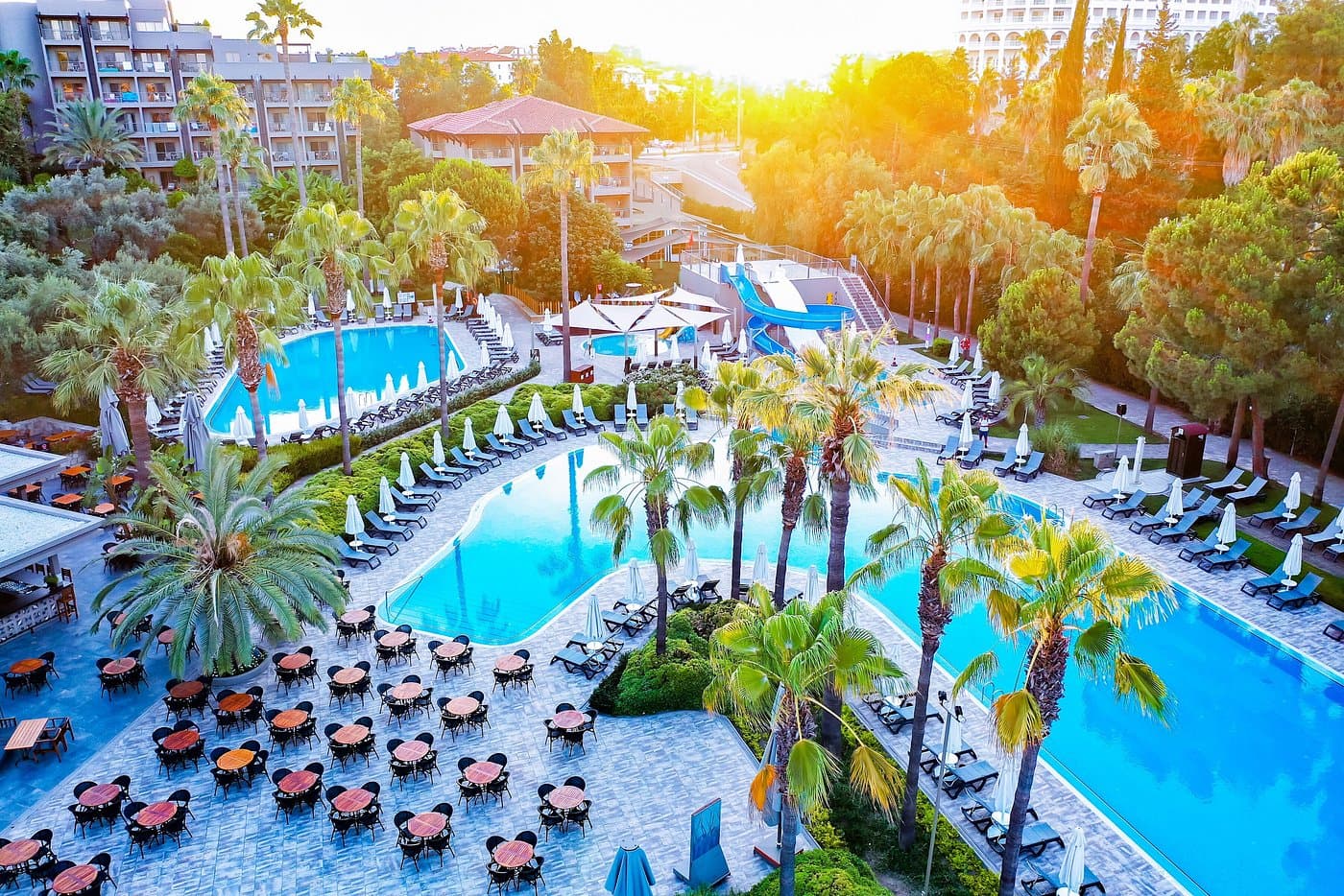 Luxury among palms - photo 3