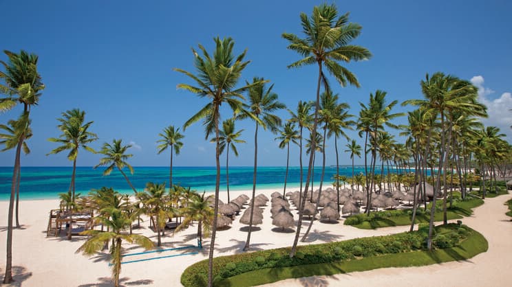 Dreams Royal Beach - Punta Cana - photo 2