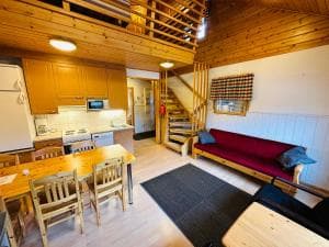 Lapland Adventures - photo 3