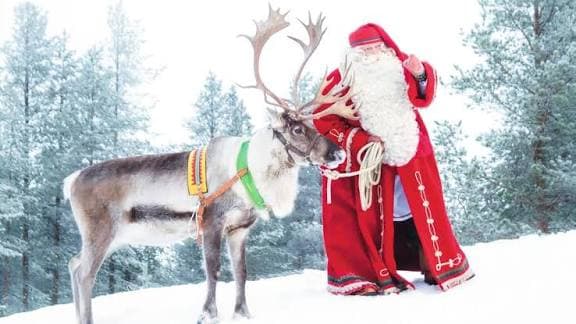 Crazy Reindeer Birthday in Lapland - main photo