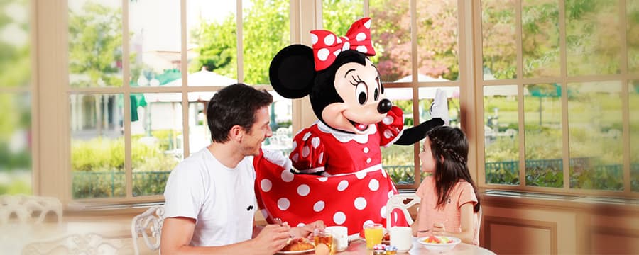 DisneyLand Paris - main photo